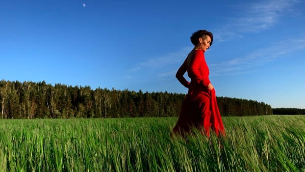 Young woman model in scarlet dress flowing in the wind. Stock clip. Brunette woman with curly hair in fild with forest and blue sky on the background