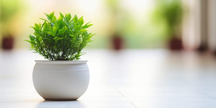 A potted plant with lush green leaves sits on a white floor against a blurred background