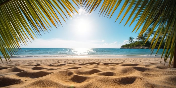 Sunny Tropical Beach with Palm Leaves