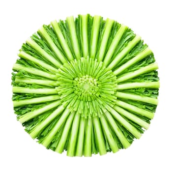 Celery Stick Mandala crisp green celery sticks radiating outward in a striking circular composition leaves -1. Food isolated on transparent background.