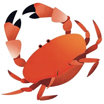 Adorable crab flat illustration. High quality photo