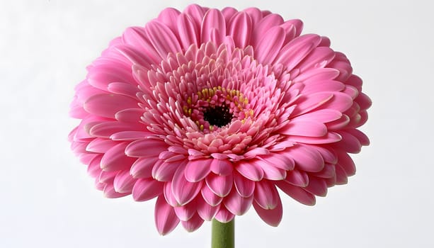 A closeup shot of an artificial pink flower with a green stem, showcasing the intricate details of the petals. Creative arts meet the beauty of nature in this magentahued flowering plant