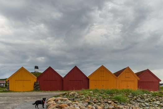 A row of vibrant red and yellow wooden sheds stands under a cloudy sky, with a black Labrador dog wearing an orange harness in the foreground.