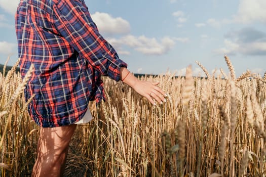 Woman farmer walks through a wheat field at sunset, touching green ears of wheat with his hands. Hand farmer is touching ears of wheat on field in sun, inspecting her harvest. Agricultural business.