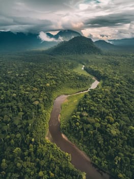 From an aerial vantage, a river snakes through a dense jungle as mist rises among the treetops, with the backdrop of mountains partially obscured by clouds