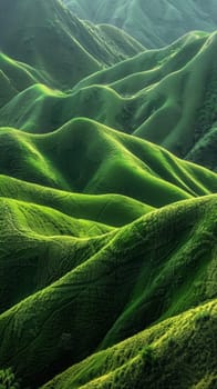 Sunbeams pierce through the verdant landscape, highlighting the rolling green waves of the tea fields. The energy of life pulses through each curve