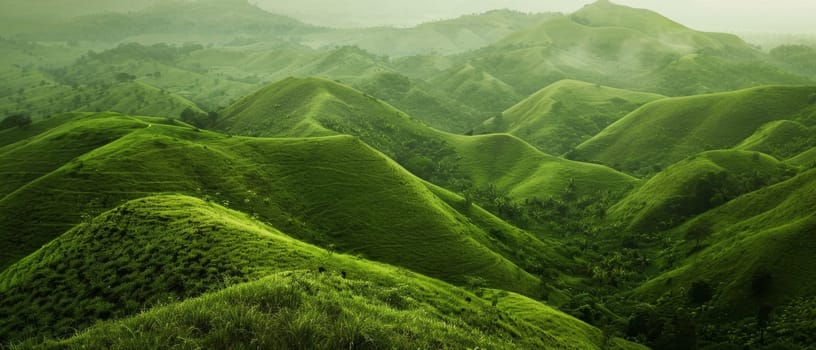 Mist hovers over serene green hills, with the soft undulating landscape evoking a sense of peace and a connection with the earth