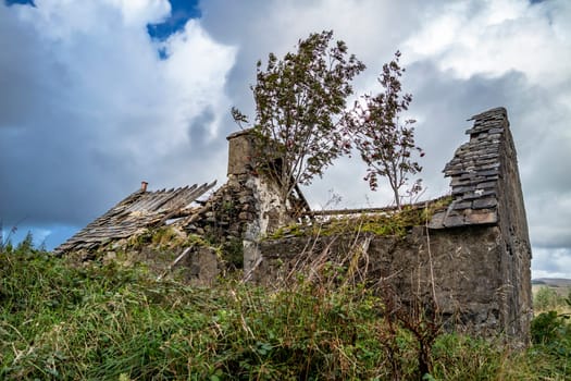 Derelict house in the forest at Letterilly by Glenties, County Donegal, Ireland.