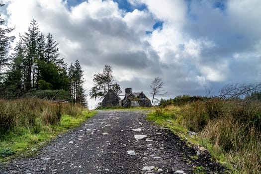 Derelict house in the forest at Letterilly by Glenties, County Donegal, Ireland.