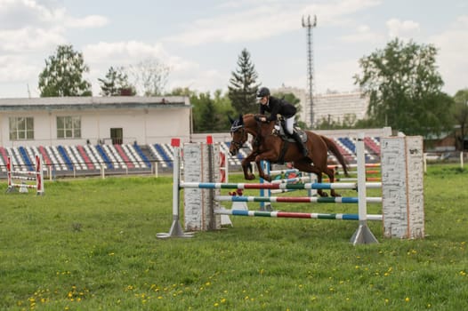 A young girl goes in for horse riding. A horse jumps over a barrier