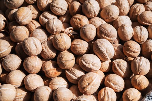 background with a lot of unpeeled walnuts in shells on the market counter close-up