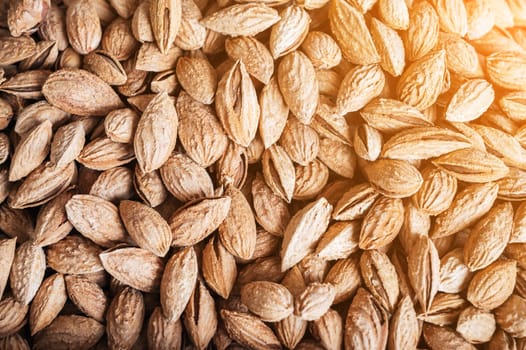 background with unpeeled almond kernels in a shell on a market counter close-up