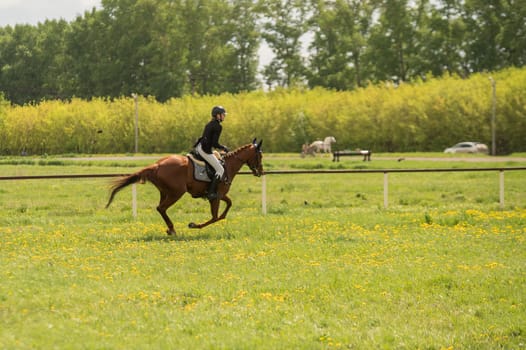 A young woman goes in for horseback riding