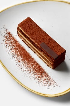 Exquisite classic dessert tiramisu with airy sponge texture, delicate coffee taste and light mascarpone cream traditionally sprinkled with cocoa, served on plate. Italian style confectionery