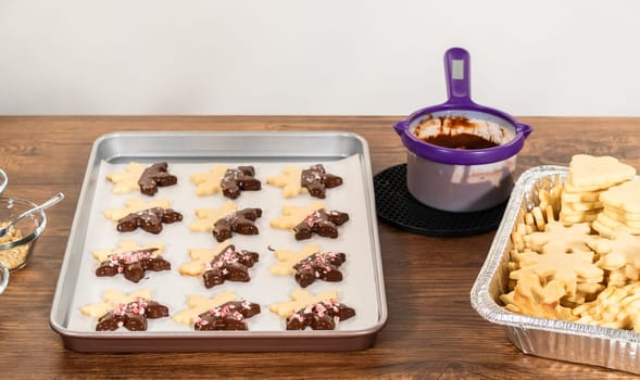 Preparing star-shaped cookies, half-dipped in chocolate, accented with peppermint chocolate chips for the holidays.