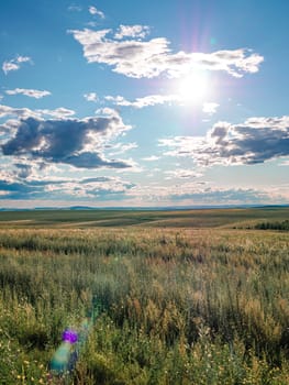 The open expanse of a golden prairie stretches to the horizon under a clear blue sky. The scene is bathed in sunlight, with a few fluffy clouds and vibrant green and yellow grasses swaying gently in a mild breeze.