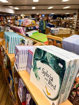 Stack of colorful children fairy tales stands on a shelf in a store. Caption: Sylvia and bird. High quality photo