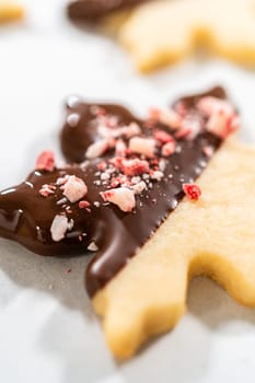 Preparing star-shaped cookies, half-dipped in chocolate, accented with peppermint chocolate chips for the holidays.