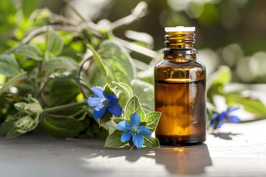 A glass bottle filled with a solution of electric blue essential oil, made from plant ingredients with blue flowers and leaves in the background