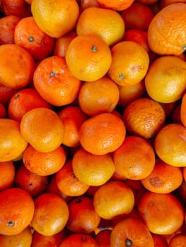 lots of orange tangerines citrus background