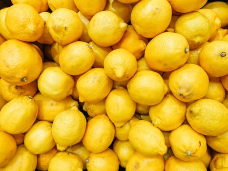 lots of ripe sour lemon vitomin for food citrus background