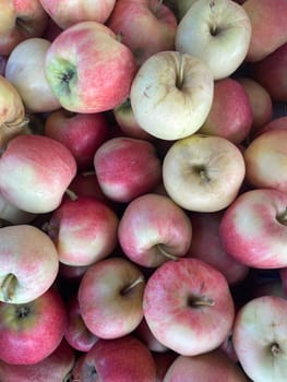 Lots of orchard apple fruit for food as background