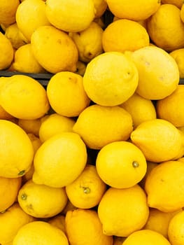 lots of yellow lemons for food citrus background