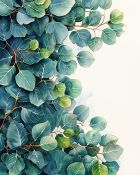 Watercolor painting of eucalyptus leaves on white background with space for text