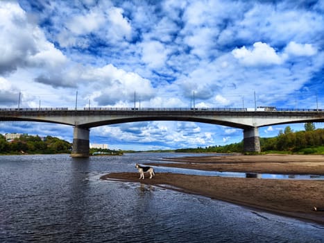 A large bridge extends over a calm river, with an overcast sky and urban buildings visible in the background