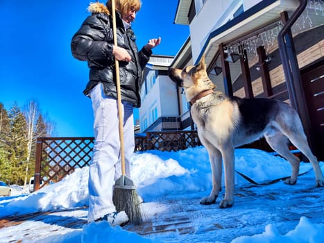 A girl or a woman with a snow broom at home and a large German Shepherd dog. Woman Clearing Snow at Home With Her German Shepherd