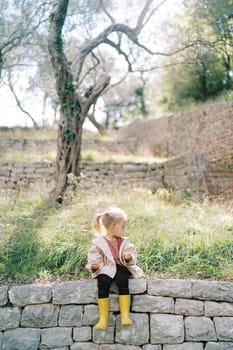 Little girl sits on a stone fence in a park with a blade of grass in her hands and looks away. High quality photo