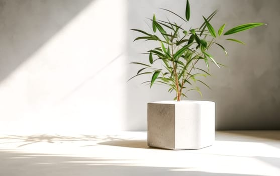 A small plant is sitting in a white and gray pot. The plant is green and has a few leaves. The pot is square in shape and is placed on a white surface. Concept of calmness and serenity