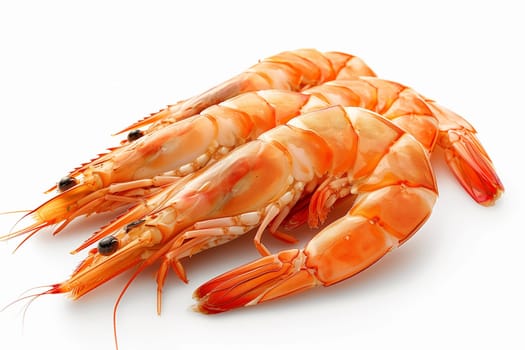 Detailed close-up shot of a shrimp against a plain white background.