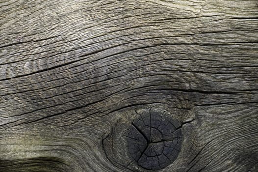 Detailed view of a piece of aged wood with a gray-brown coloration that emphasizes its natural textures and patterns. Deep cracks and knots cover the surface