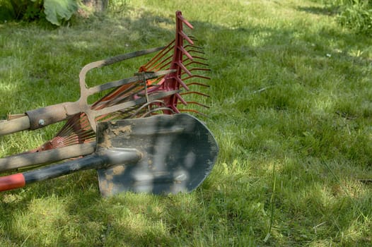 Close-up of a shovel, rake, and pitchfork lying on lush green grass under the sun, depicting gardening and outdoor work.
