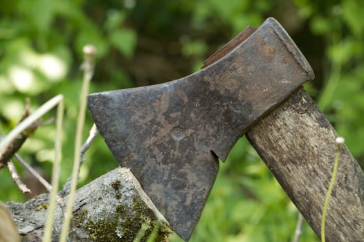 Detailed close-up of a wooden-handled axe lodged in a log, surrounded by lush green grass in a natural outdoor setting.