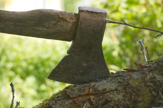 Close-up shot of a weathered axe set in a tree stump surrounded by lush greenery. Perfect for themes of woodwork, gardening, and rustic tools.