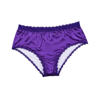 Purple Silk High Waisted A pair of purple silk high waisted women s underwear with. Woman lingerie isolated on transparent background