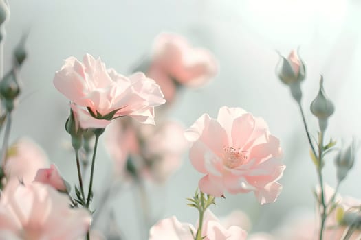 A beautiful display of pink flowers belonging to the Rose family is flourishing in a field, showcasing the delicate petals of flowering plants in shades of peach and pink