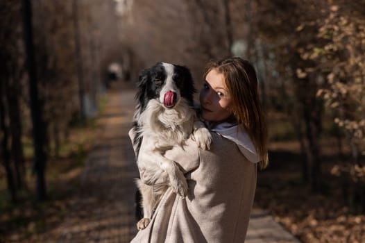 Caucasian woman holding a border collie in her arms while walking in the autumn park. Portrait of a girl with a dog