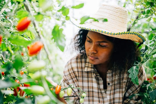 A millennial agronomist also a quality inspector meticulously records cherry tomato data on a clipboard in a greenhouse. Portrait of a dedicated farmer ensuring top-notch produce quality.