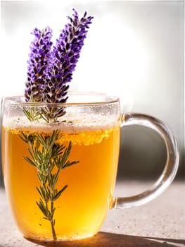 Lavender Tisane A steaming lavender infusion in a sleek glass mug a sprig of lavender. Drink isolated on transparent background.