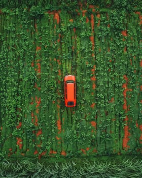 A small, bright red car is nestled amidst a lush, verdant forest, its vivid color contrasting beautifully with the abundant greenery and scattered red flowers