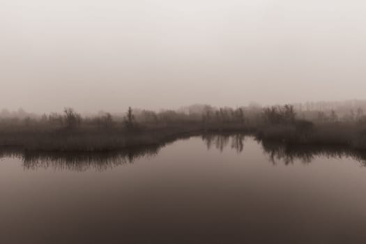 A natural landscape with a lake, tall grass, and trees under a cloudy sky on a foggy morning.