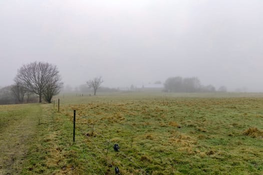 Natural autumn landscape of a foggy morning in the countryside. Foggy farm field.