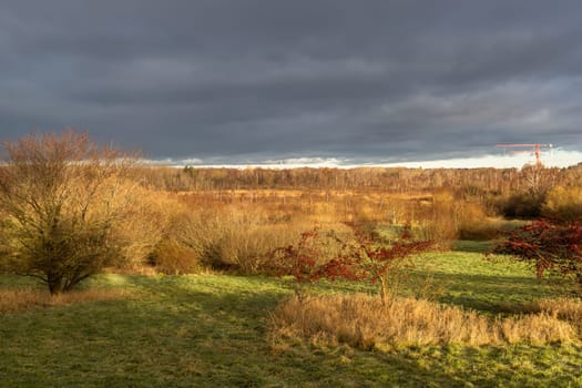 Beautiful arial view of the autumn landscape with a dramatic rain cloud and yellow trees illuminated by the sun.