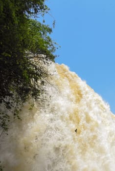 Iguazu Falls, the largest series of waterfalls of the world . Wonderful landscape