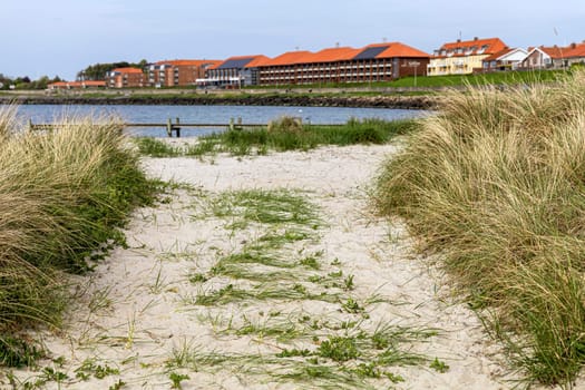 Beautiful natural beach with sand and grass in the town of Ronne on the Bornholm Island, Denmark.