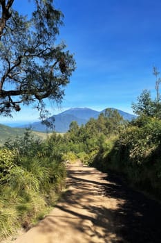 The scene depicts a rustic dirt road bordered by trees with a mountain in the distance, capturing a serene natural landscape with elements like plants, sky, grass, and a sense of rural tranquility