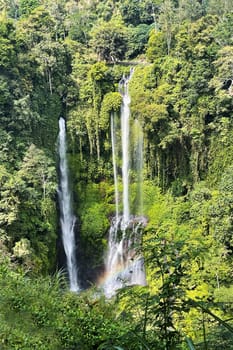 A stunning waterfall cascades through a lush forest, crowned by a colorful rainbow, blending water, plants, and a pristine natural landscape in perfect harmony